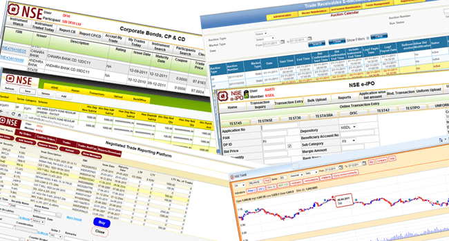 Customised Software Development
